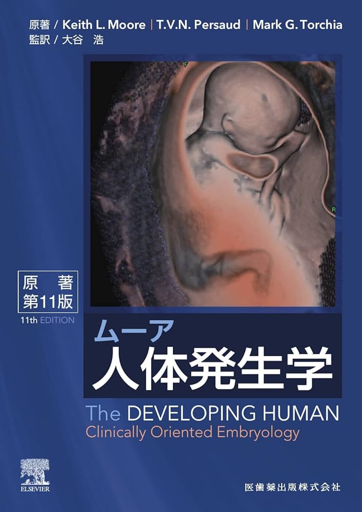 ムーア人体発生学 原著第11版 | K.L.Moore, 大谷 浩, 小川 典子, 松本