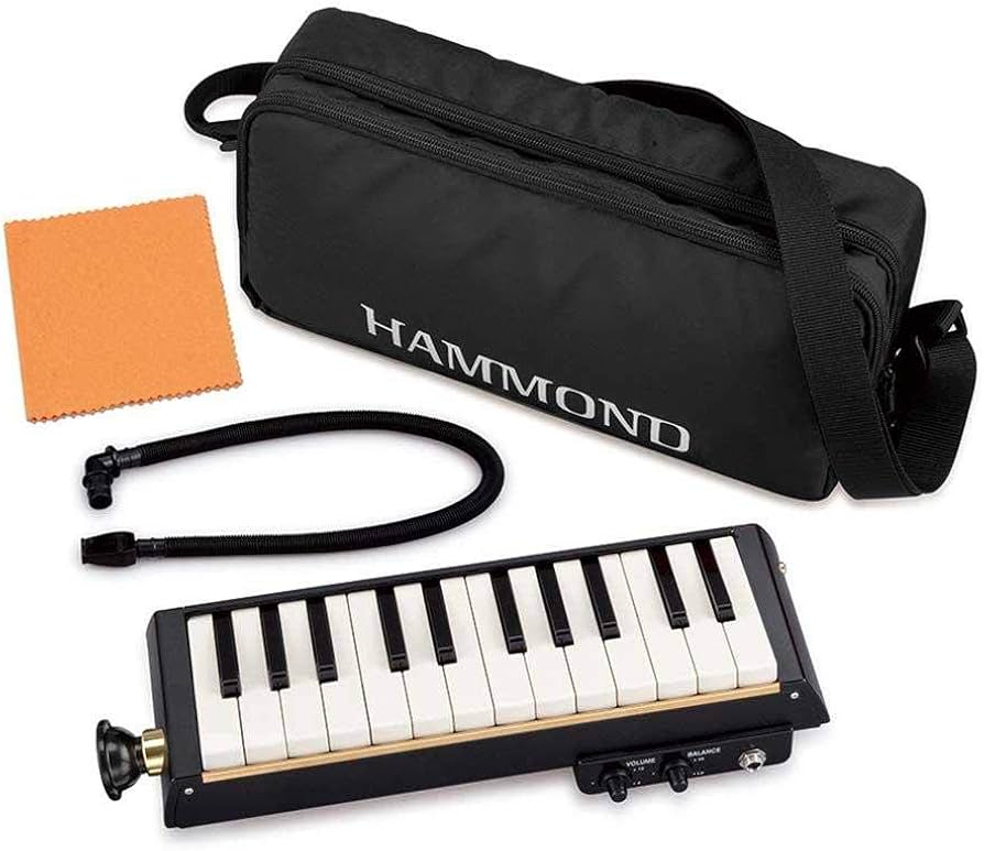 Amazon | HAMMOND ハモンド PRO-24B 鍵盤ハーモニカ エレアコ バス