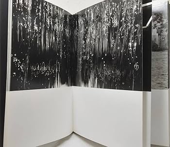 Amazon.co.jp: 写 エディスリマン 洋書写真集 Hedi Slimane Berlin