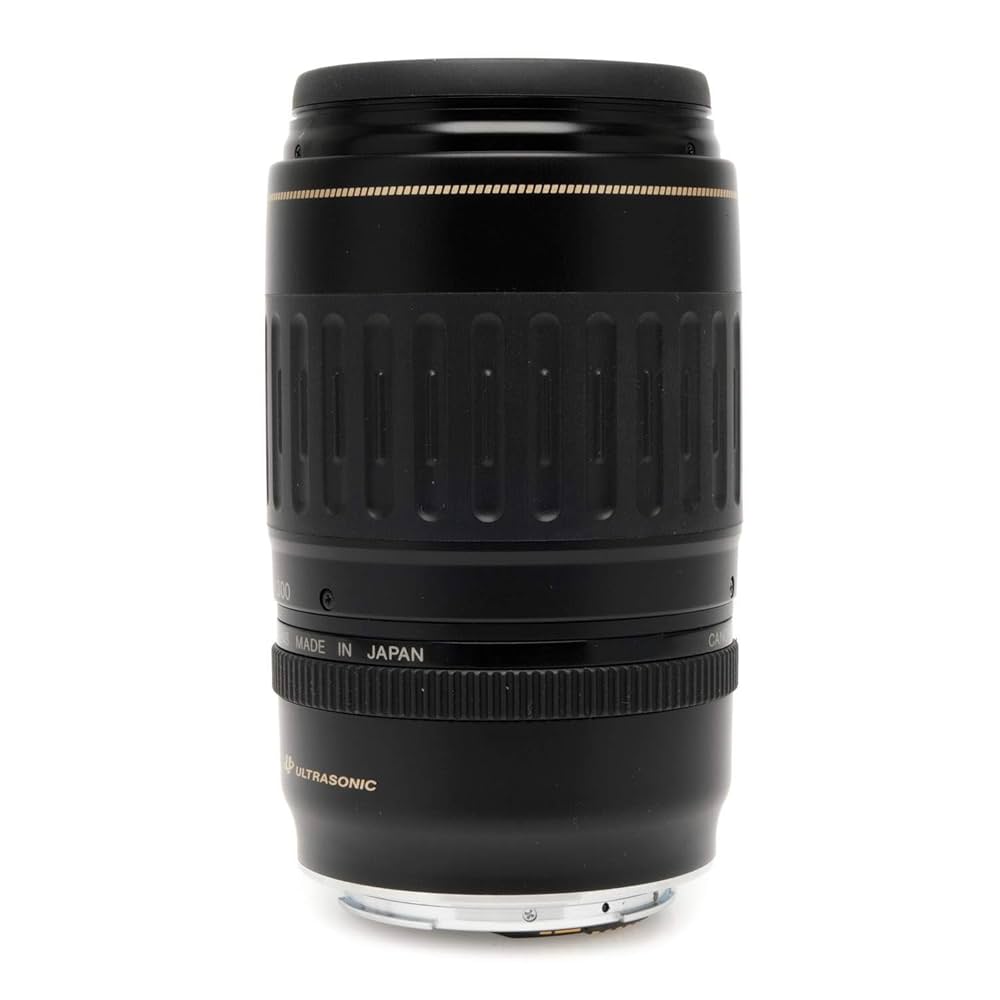 望遠レンズ 大切な記録を望遠で Canon キヤノン EF100-300mm 望遠