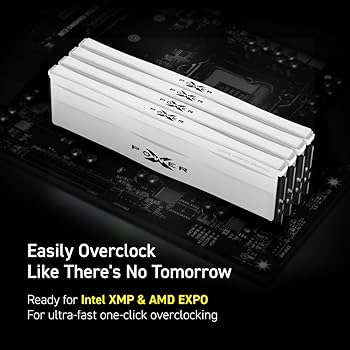 Amazon.co.jp: シリコンパワー DDR5 64GB (2x32GB) Zenith RGB 6000MHz