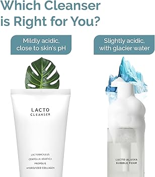 Amazon.com: KSBC BENETUS Lacto Cleanser, Facial Cleanser, Face