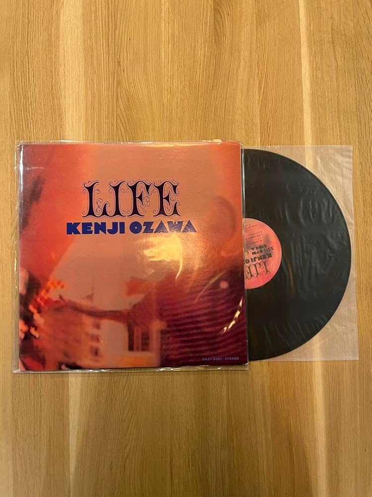 Amazon.co.jp: レア盤 小沢健二 LIFE レコード : おもちゃ