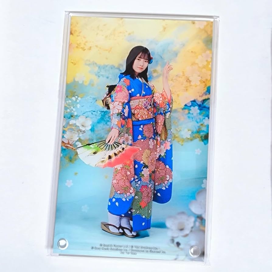 Amazon.co.jp: ひな図書 晴れ着 正源司陽子 アクリルアートパネル 日