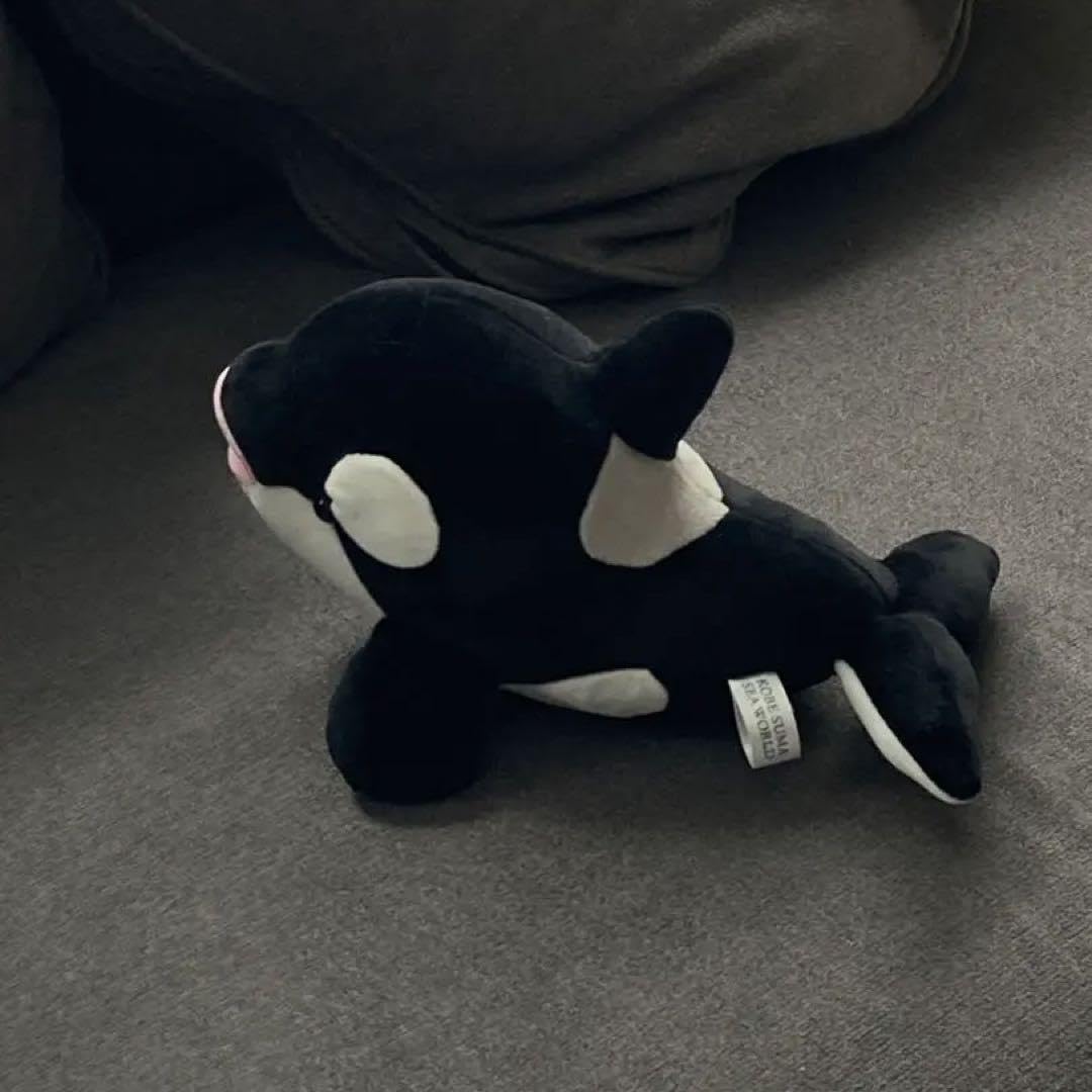 Amazon.co.jp: 神戸須磨シーワールド オルカくじ シャチくじ 4等 黒色