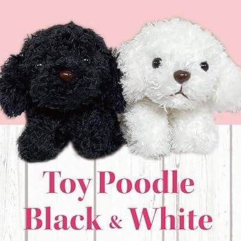 Amazon | モンスイユ ぬいぐるみ トイプードル ホワイト 犬 パプス