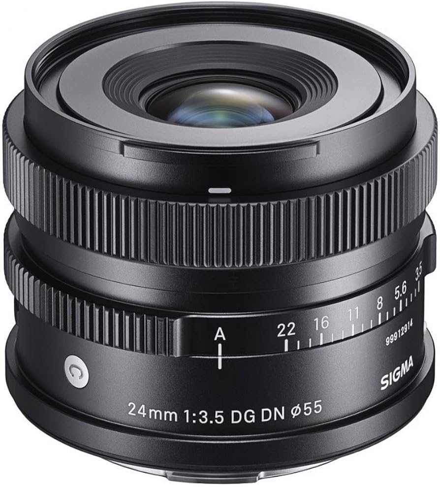 Amazon.com : Sigma 24mm F3.5 DG DN for Sony E Mount : Electronics