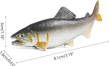 61+qPwzt4rL._AC_UF350,