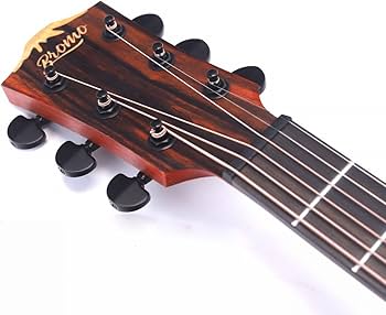 Amazon | Bromo BAT1M ブロモ アコースティックギター トップ単板