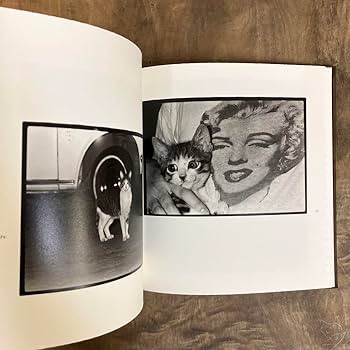 深瀬昌久 afterwordサスケ写真集 猫 2016年 初版限定900部 Amazon.co.jp: