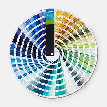 Amazon.com: Pantone FHIP110C Color Swatch Fashion, Home + Interior