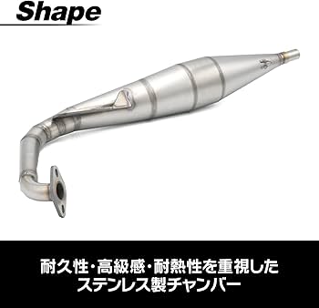Amazon | topsense ライブディオ DIO ZX SR AF34 AF35 対応 ステンレス
