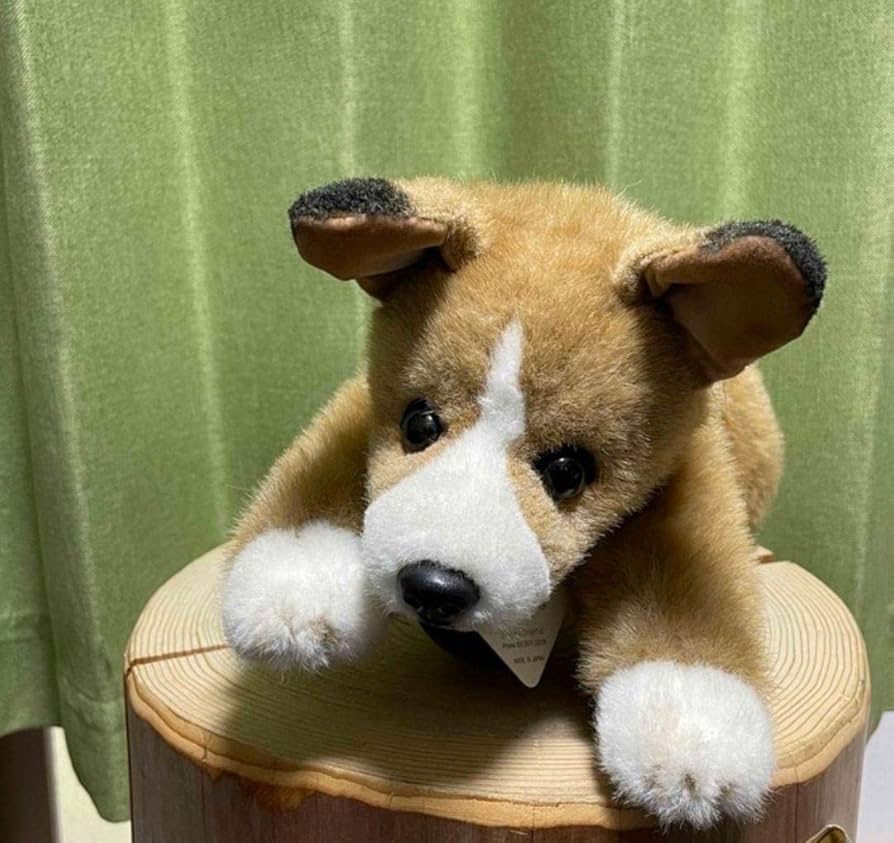Amazon.co.jp: ぬいぐるみ コーギー SHIKI 四季オリジナル リアル 犬
