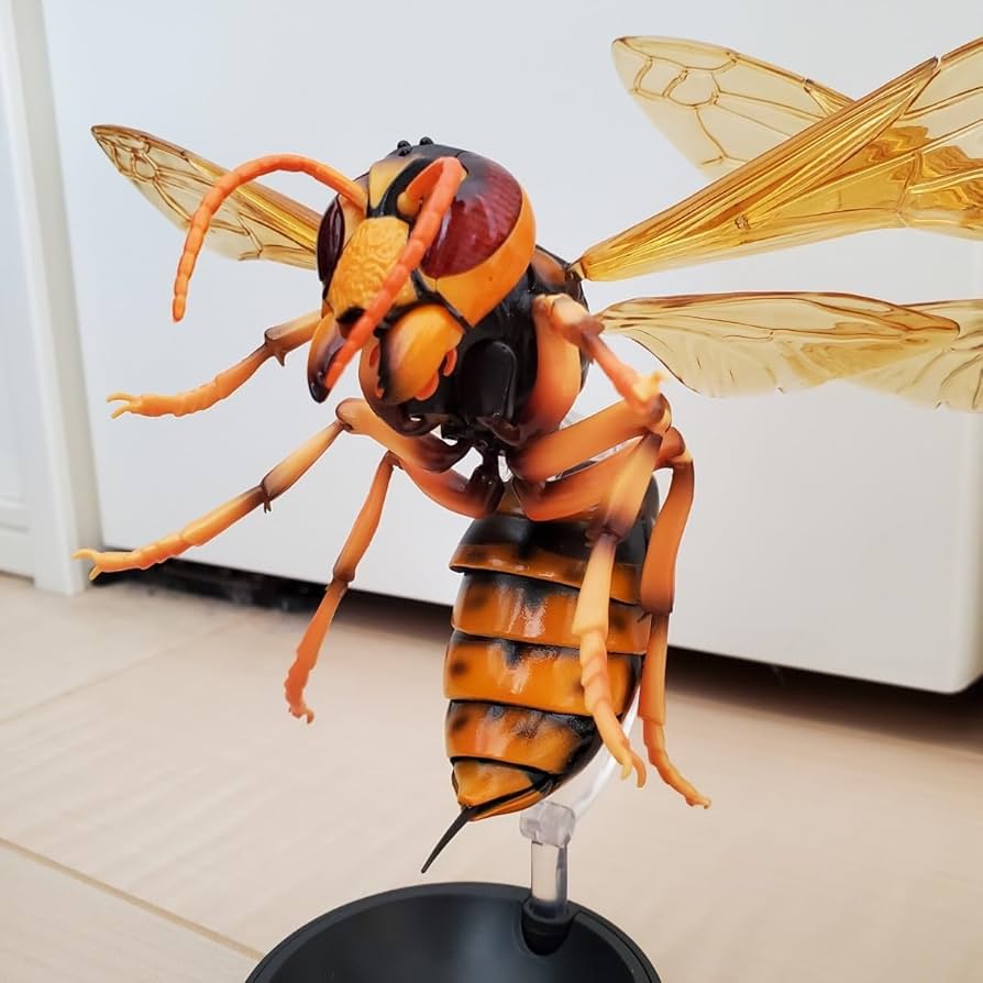 Amazon.co.jp: いきもの大図鑑 アドバンス スズメバチ 全3種