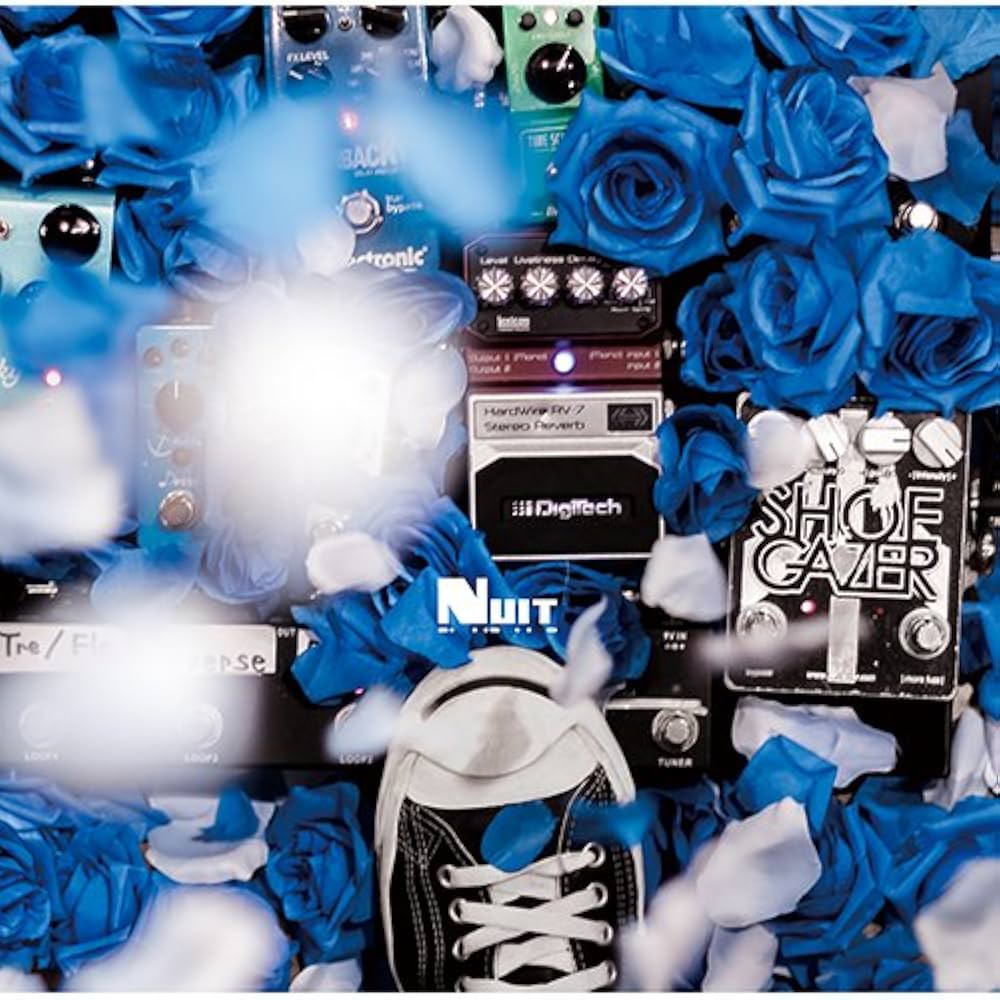 夜 廃盤CD 「それは全てに等しく訪れる闇」 Ruvie Amber gris 夜 廃盤