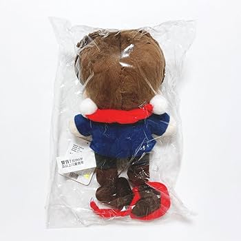 61ucoT1VL1L._AC_UF350,