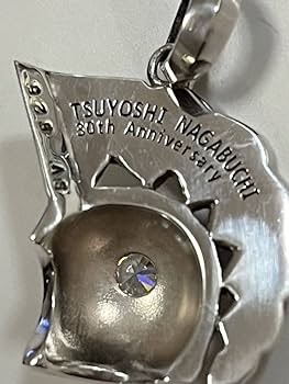 Amazon.co.jp: シルバー925 長渕剛愛用 ペンダントトップ イカイカ 30