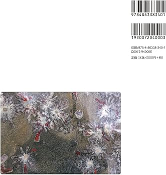 NEO菊花石 | 石原 宣夫 |本 | 通販 | Amazon