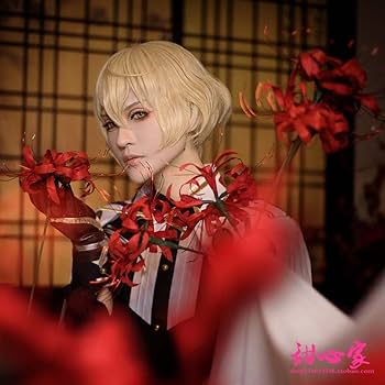Amazon.co.jp: 耐熱コスプレウィッグ 太刀 髭切（ひげきり） 刀剣乱舞