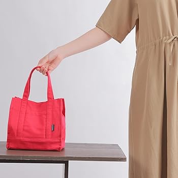 Amazon.com: Chamboise Mini Tote Bag - Stylish & Compact Canvas