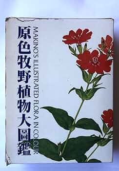 61w2zHKNggL._AC_UF350,