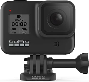 Amazon.com : GoPro HERO8 Black Action Camera Bundle with Dual