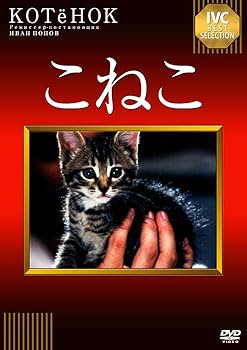 Amazon.co.jp: こねこ [DVD] : アンドレイ・クズネツォフ