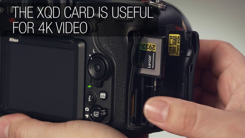 Amazon.com : Nikon D500 DX-Format Digital SLR (Body Only), Base