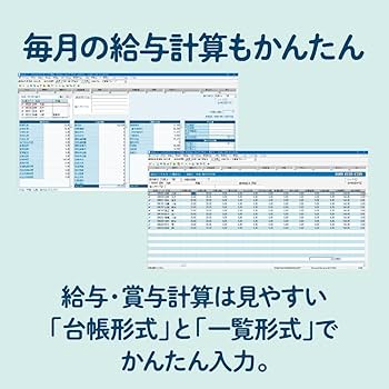 Amazon.co.jp: 給料王24 最新法令改正対応版 : Software