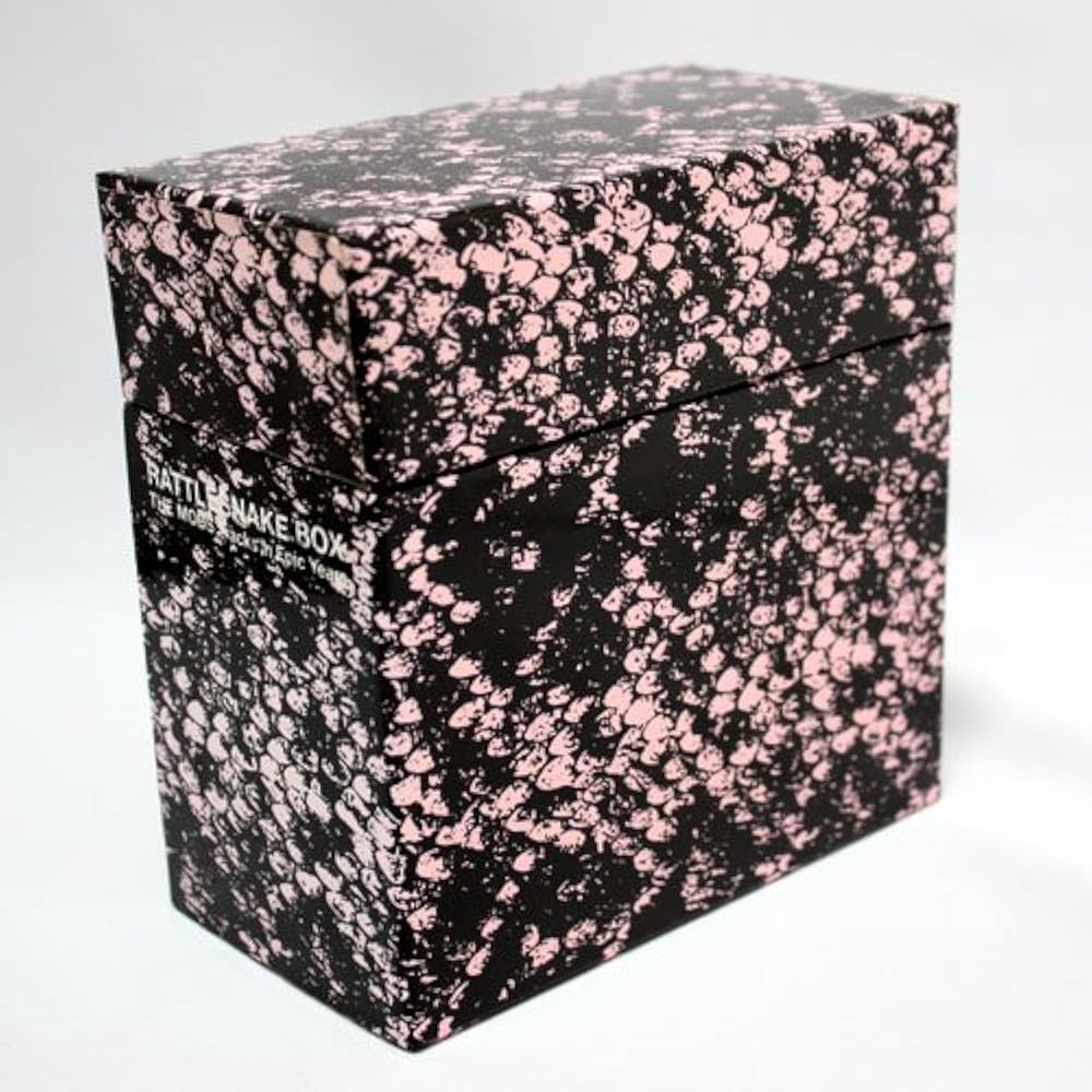 Amazon.co.jp: RATTLESNAKE BOX-The MODS Tracks in Epic Years-(DVD付