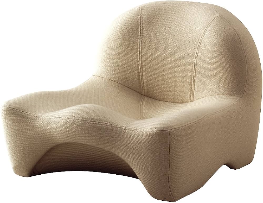 Amazon.co.jp: ドリーム(Dream) 馬具座椅子 DR2929 : ホーム＆キッチン