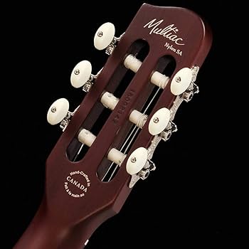 Amazon | Godin Multiac Nylon SA/Natural エレガットギター ゴダン