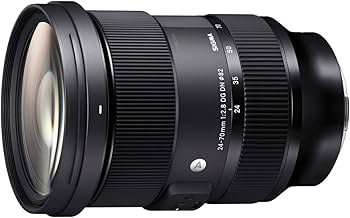 Amazon.com : Sigma 24-70mm F2.8 DG DN Art for L Mount : Electronics