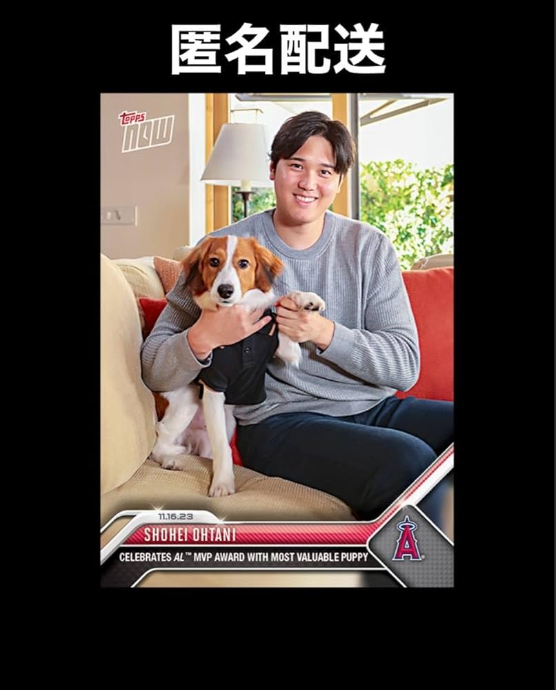 PSA10】大谷翔平 愛犬デコピン共演 2023MVP受賞記念カード NO1 Amazon