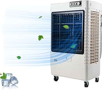 61zIfr05cZL._AC_UF350,