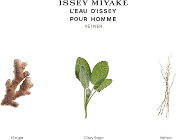 Amazon | イッセイミヤケ ロードゥイッセイ プールオム ベチバー