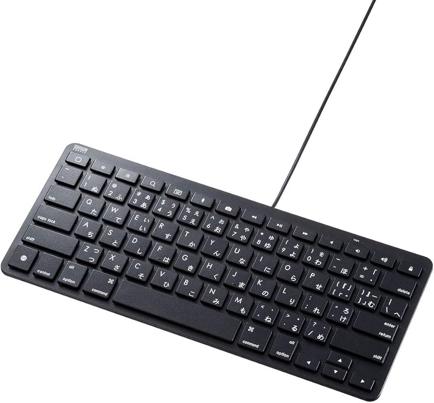 Amazon.co.jp: サンワサプライ iPad用キーボード 有線Lightning接続