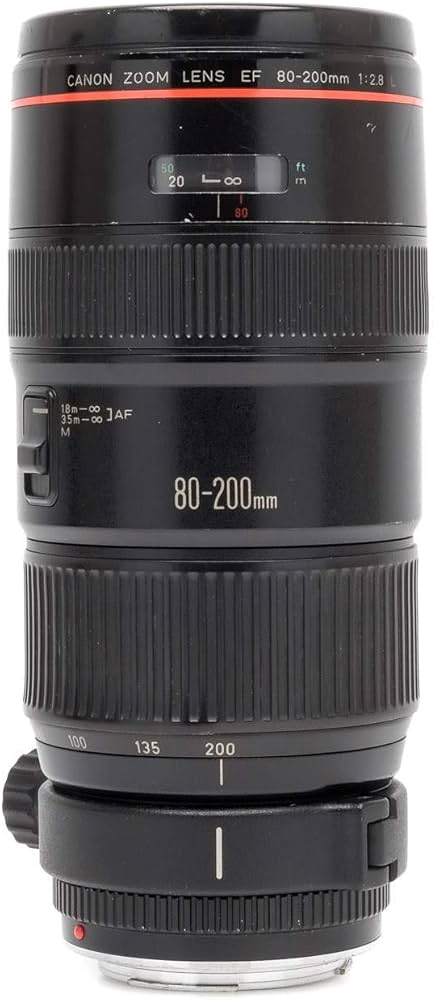 Canon EF 80-200mm f/2.8 L Zoom Lens : Amazon.in: Electronics