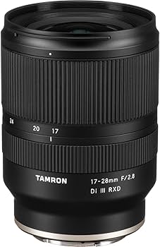 Amazon.com : Tamron 17-28mm f/2.8 Di III RXD for Sony Mirrorless