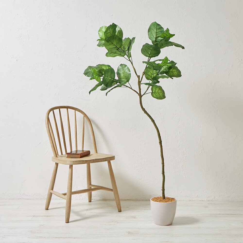 Amazon｜フェイクグリーン【ウンベラータ 高さ 約150cm 】 観葉植物