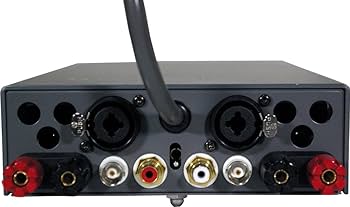 Amazon.co.jp: FIDELIX ボリューム付パワーアンプ CERENATE