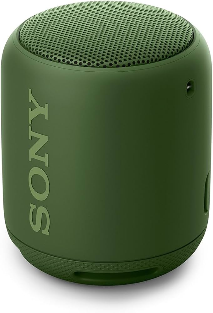 Amazon.co.jp: ソニー ワイヤレスポータブルスピーカー 重低音モデル