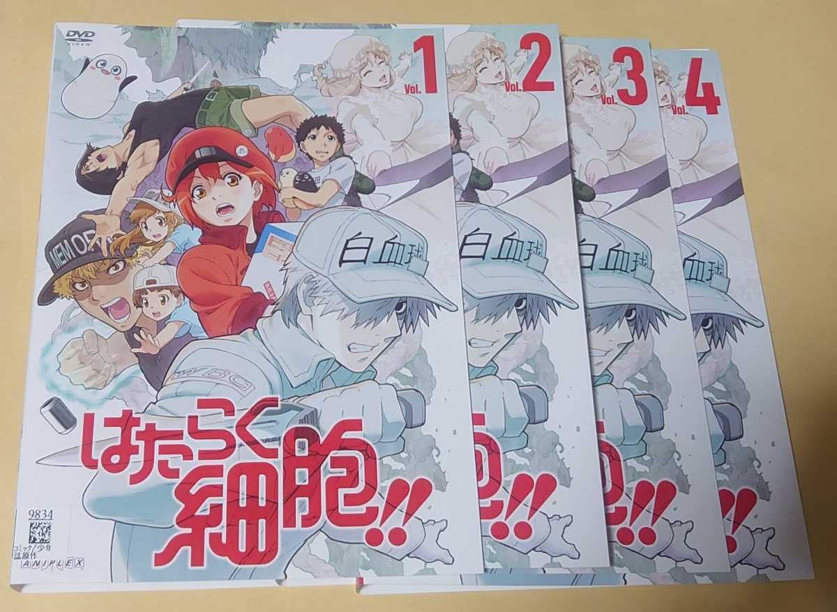 Amazon.co.jp: レンタル落ちDVD 『 はたらく細胞 』一期全7巻+二期全4