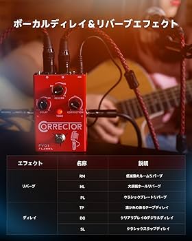 Amazon | FLAMMA FV01 ボーカル ピッチ 補正 ペダル 遅延 リバーブ付