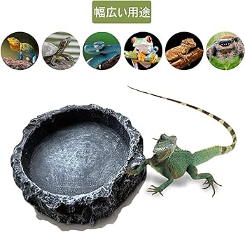 Amazon | 爬虫類 水入れ 8*8*2cm 爬虫類 餌入れ 樹脂水皿食物碗