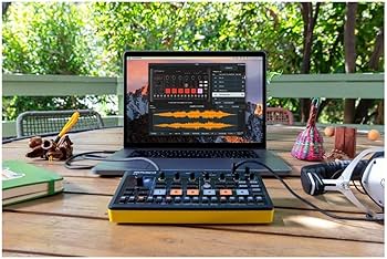 Amazon.com: Roland AIRA Compact P-6 Creative Sampler | Granular
