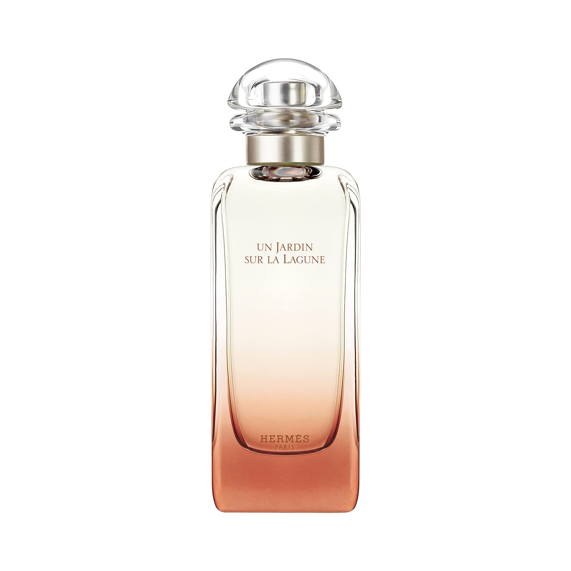 Amazon | エルメス ラグーナの庭 EDT SP 100ml [並行輸入品] | HERMES