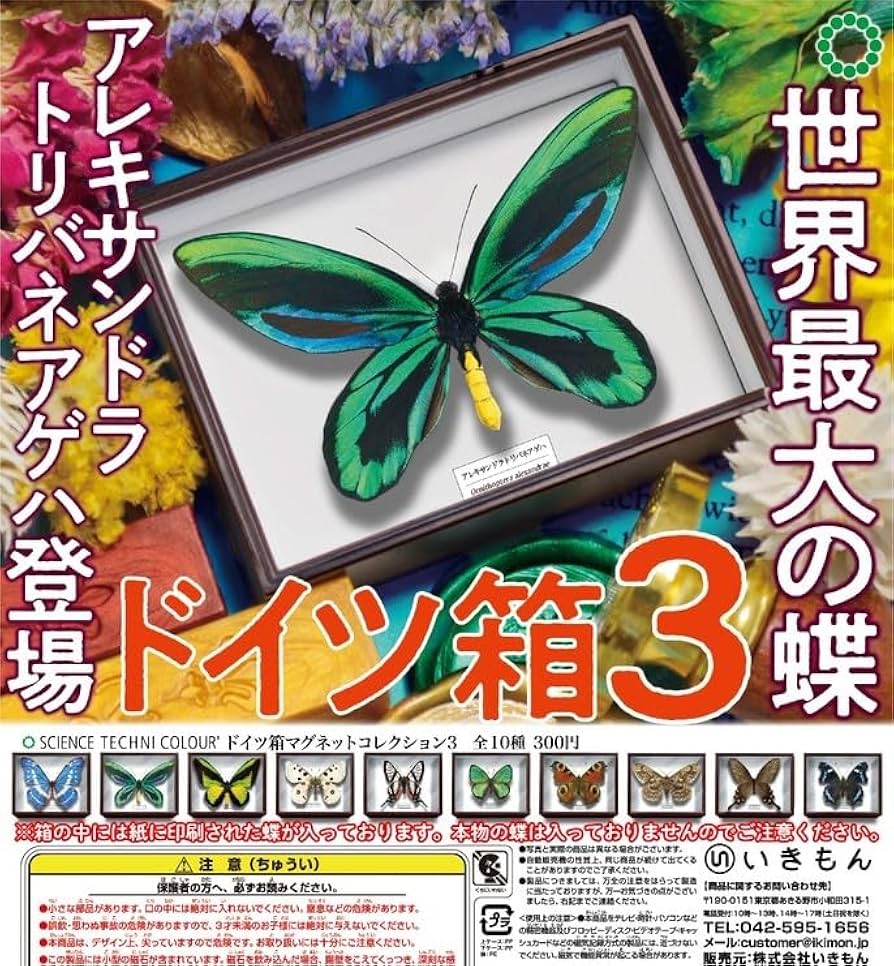 Amazon | ドイツ箱マグネットコレクション3 全10種セット モルフォ蝶