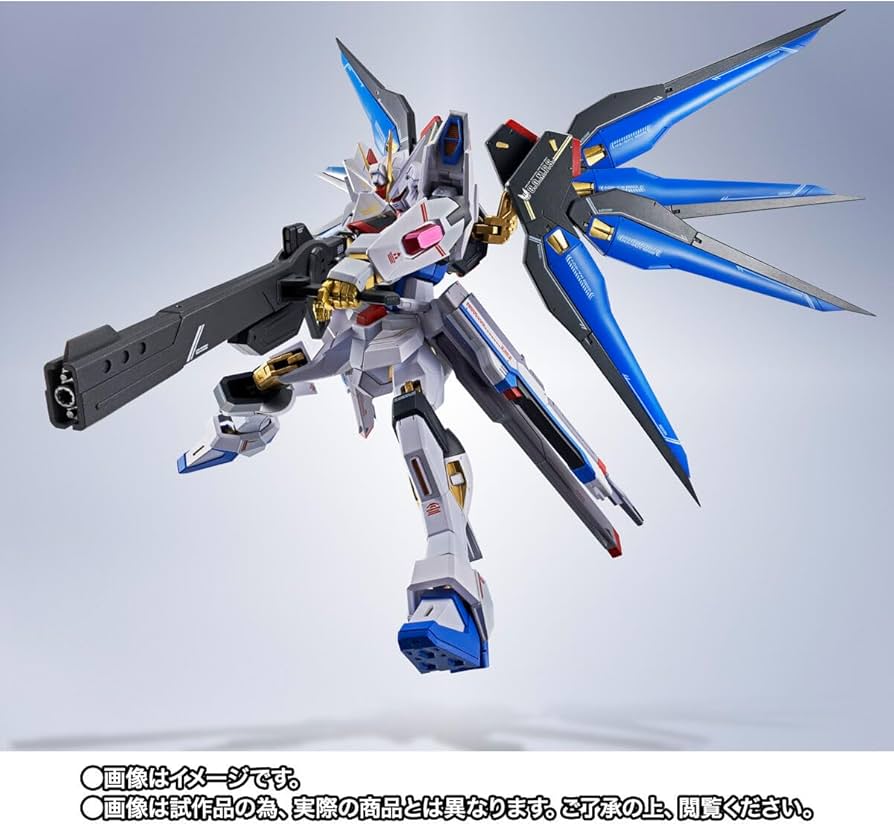 Amazon.co.jp: METAL ROBOT魂 ＜SIDE MS＞ ストライクフリーダムガ