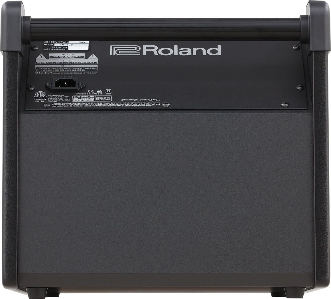 Amazon.com: Roland PM-100 Compact 80-Watt Personal Drum Monitor